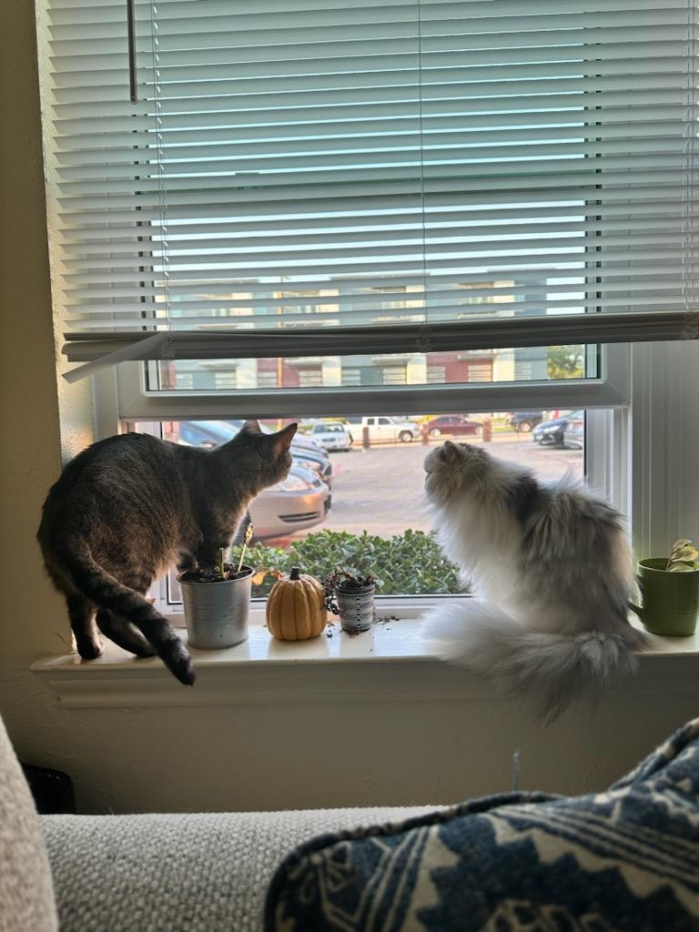 Abby and Gami on Window